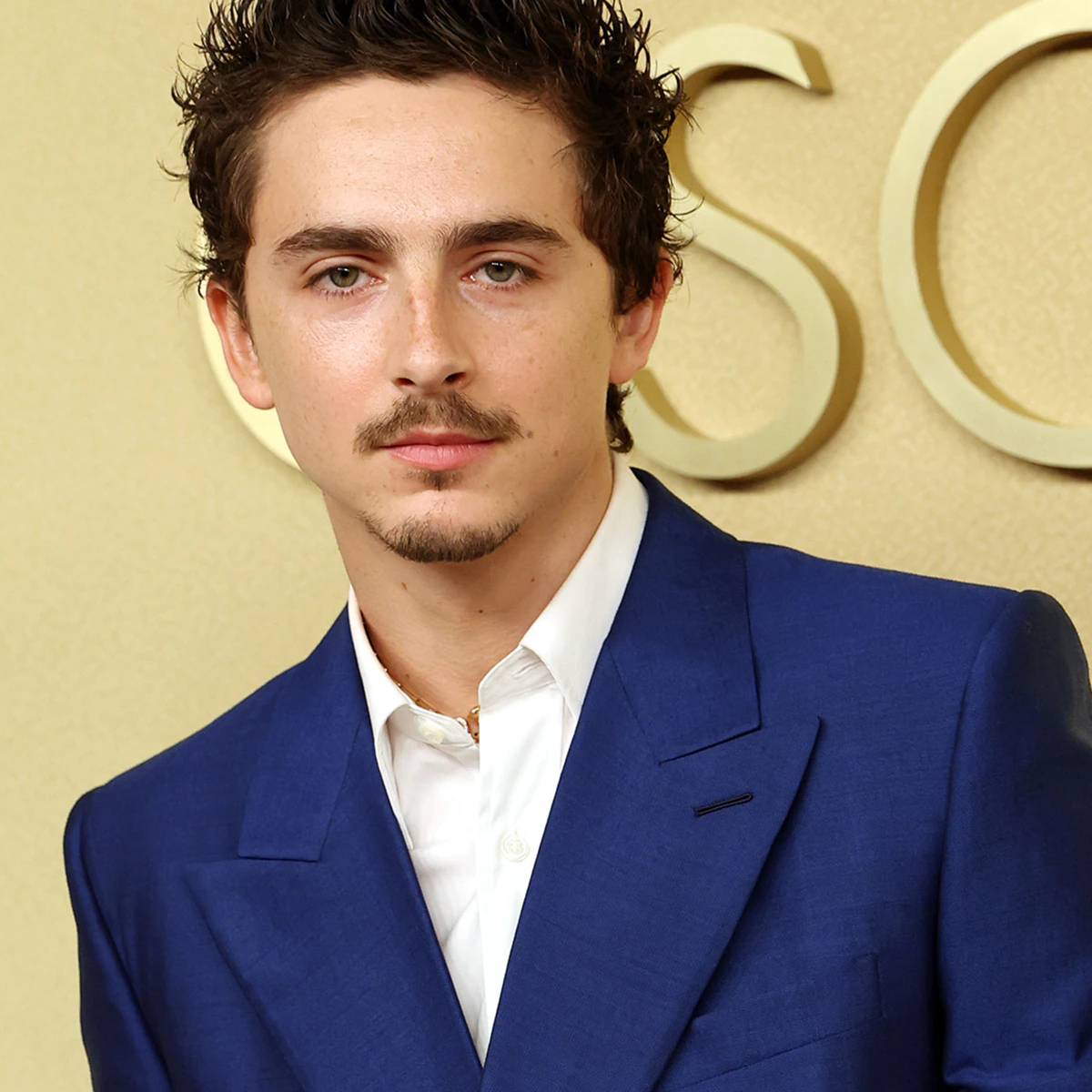 Metropolitan Opera Weighs In on Timothée Chalamet's Controversial Comments About Ballet