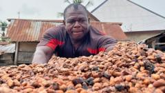 Bitter Times for Cocoa Farmers as Chocolate Market Slumps