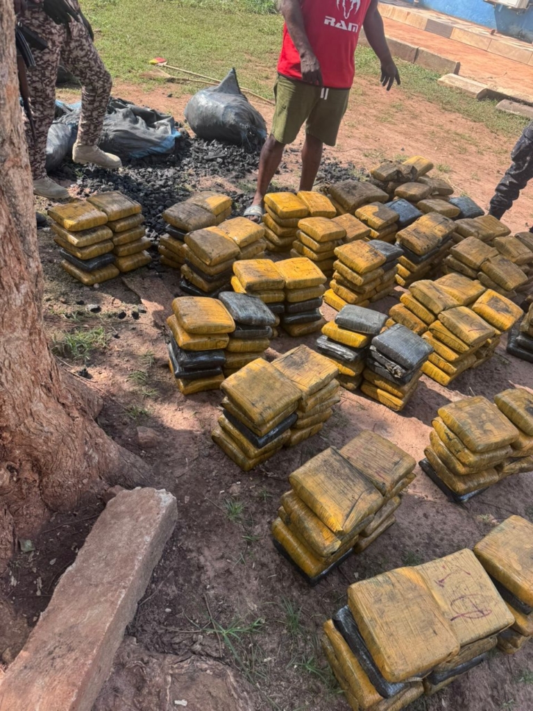 Massive Cannabis Haul Uncovered in Techiman: Police Seize 397 Slabs of Suspected Narcotics