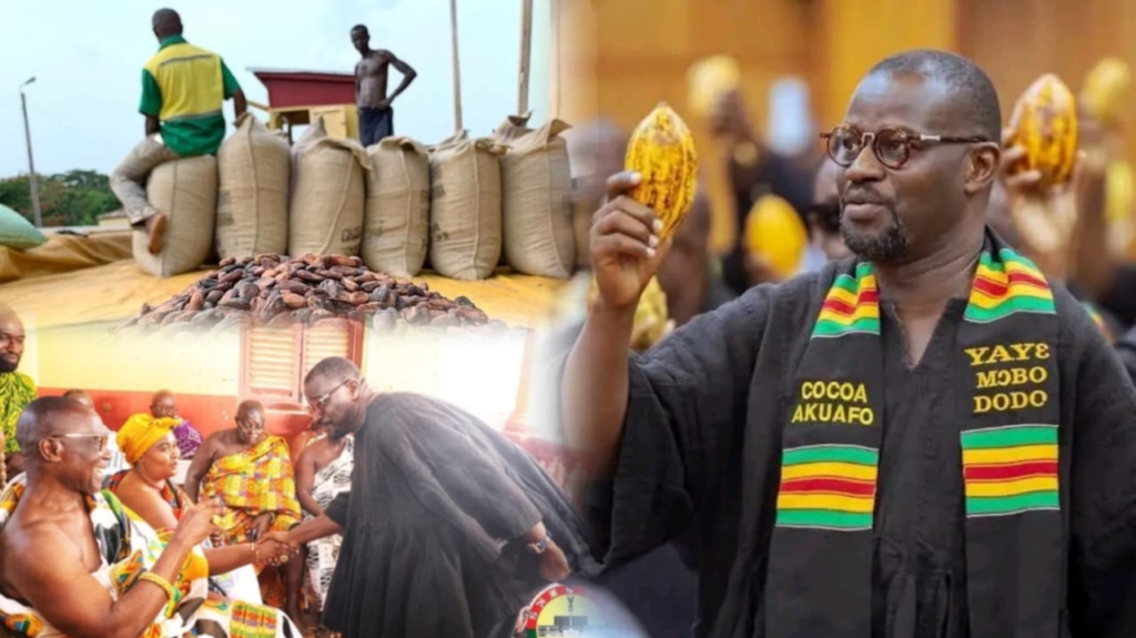 Ghana's Cocoa Industry in Crisis: Government Accused of Suspending Purchases Nationwide