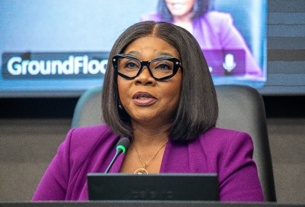 Sustainable Finance Takes Center Stage: Ghana Reaffirms Commitment at NGFS Plenary