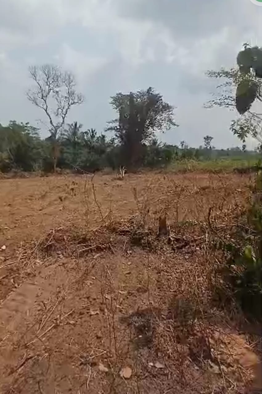 Farmland Frenzy: Concerned Farmers Association of Ghana Seeks Intervention in Asekesu Land Sales