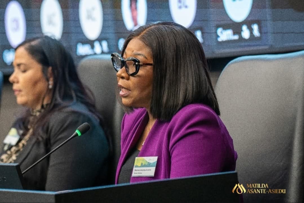 Ghana Takes Center Stage in Global Sustainable Finance Efforts at NGFS Plenary in South Africa