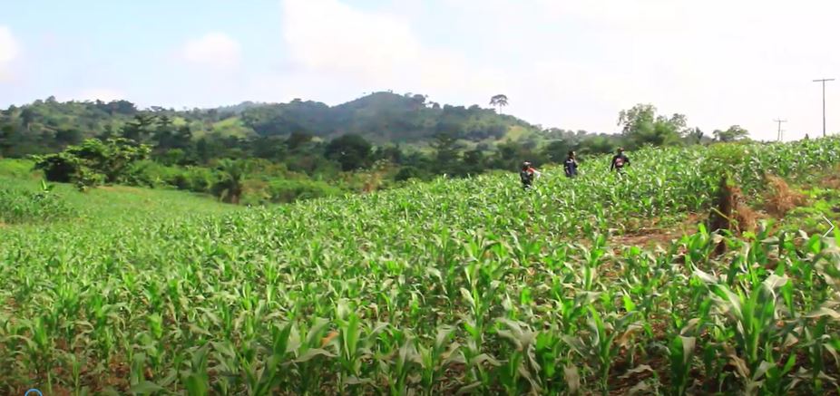 Agricultural Development Takes Center Stage: A Call to Action for Former President Mahama